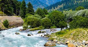 Lidder River flowing through pine forests with rocky banks in Pahalgam